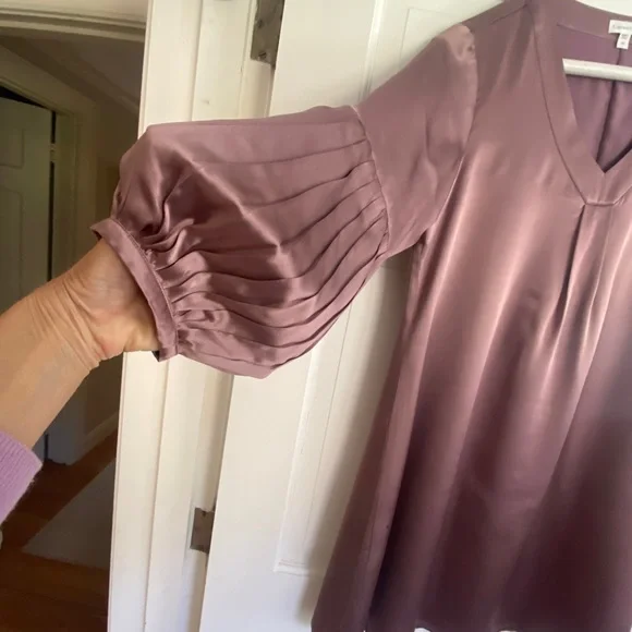 Garnet Hill rose-colored silk dress, sz 4 NWT - Picture 14 of 14